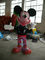 Стеклоткань игрушки воды пусковой площадки выплеска мыши Mickey для парка Aqua детей