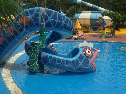 Водный парк развлечений на открытом воздухе Игровая площадка Карнавалы Водные игрушки Змея Водный горка из стекловолокна